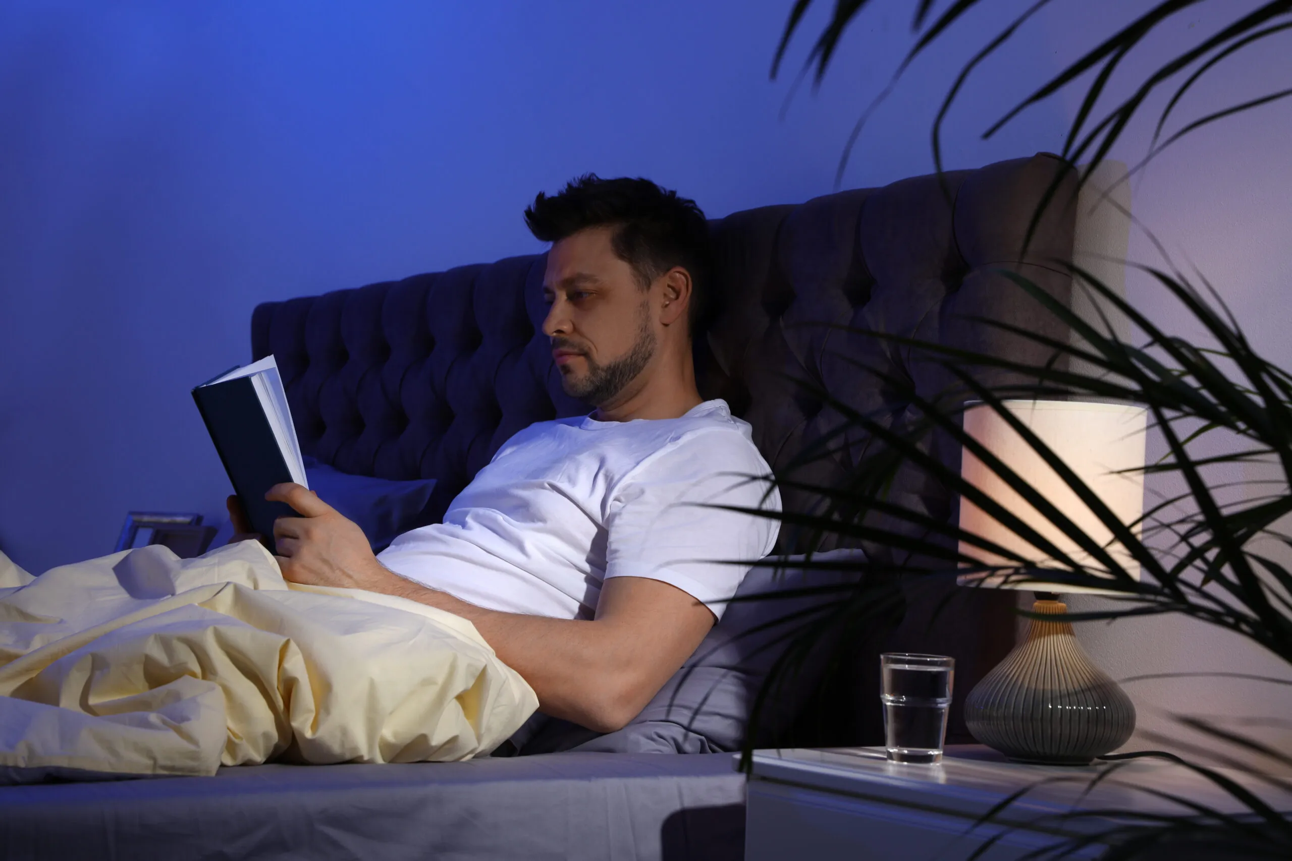 Soft evening light in a quiet room
